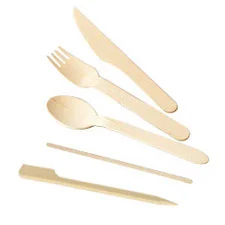 Disposable Cutlery and Utensils