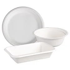 Disposable Plates, Bowls and Trays