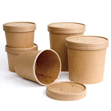 Takeaway Soup Containers