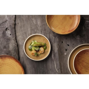 Olympia Canvas Flat Round Plate Sienna Rust 250mm (6 Pack)