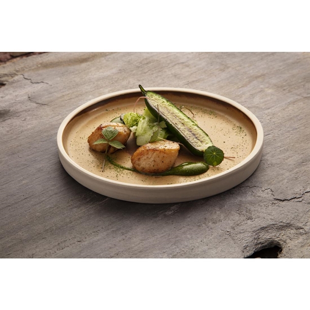 Olympia Canvas Flat Round Plate Sienna Rust 180mm (6 Pack)