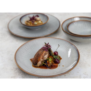 Olympia Drift Grey Embossed Coupe Bowls 205mm (4 Pack)