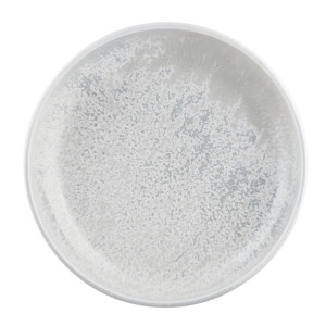 Moda Porcelain Willow Share Bowl 250mm (4 Pack)