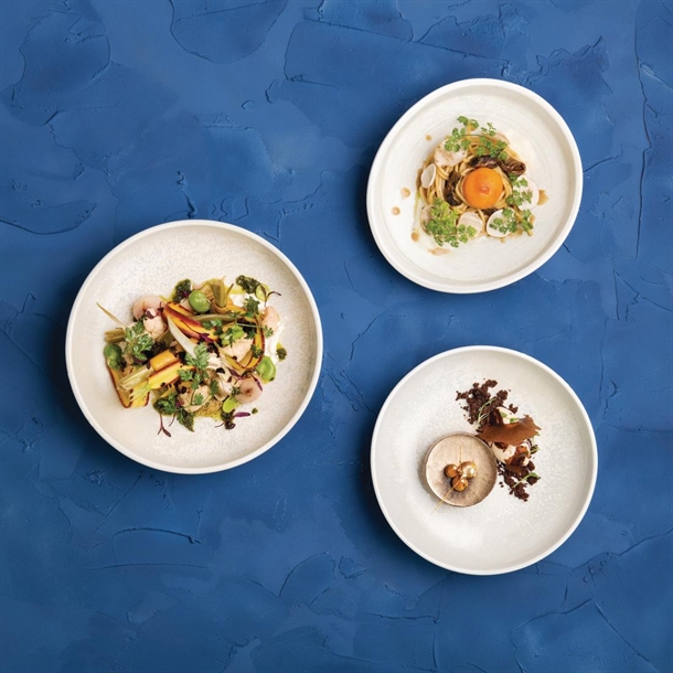 Moda Porcelain Willow Round Plate - 200mm (6 Pack)