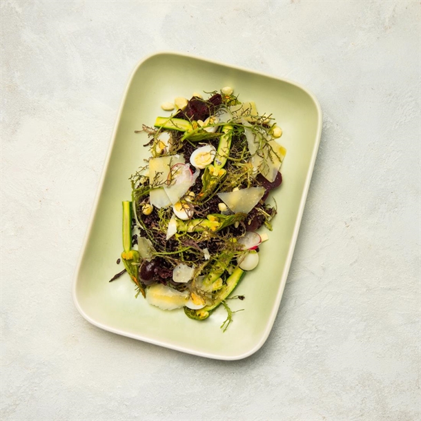 Moda Porcelain Lush Rectangle Dish - 530x265x70mm