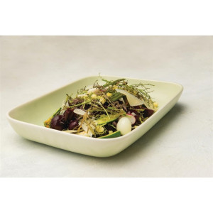 Moda Porcelain Lush Rectangle Dish - 530x265x70mm