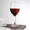 Olympia Solar Wine Glasses 310ml (24 Pack)