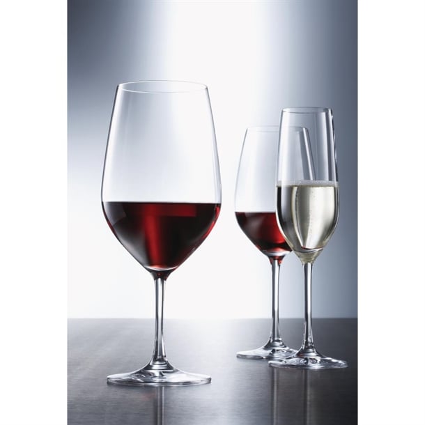 Schott Zwiesel Vina Wine Goblets 530ml (6 Pack)