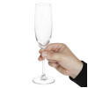 Olympia Novello Crystal Champagne Flutes 180ml (6 pack)