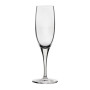 Nude Primeur Champagne Flute Glasses 210ml (24 Pack)