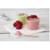 Fiesta Compostable Wooden Ice Cream Spoons (100 Pack)