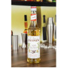 Monin Syrup Vanilla 700ml