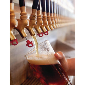 Beer Tap Plug (6 Pack)