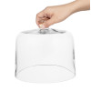 Olympia Glass Dome 200x170mm