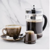 Olympia Contemporary Glass Coffee Plunger 6 Cup