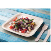 Fiesta Compostable Palm Leaf Plates Square 200mm (100 Pack)