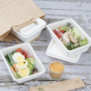 Fiesta Recyclable PET Lids for Bagasse Container Bases (100 Pack)