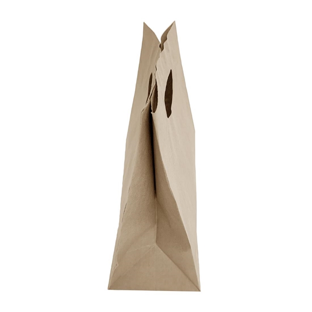 Fiesta Recyclable D Cut Handle Brown Paper Bags Large (250 Pack)