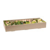 BioPak BioBoard Catering Tray Bases Large (50 Pack)