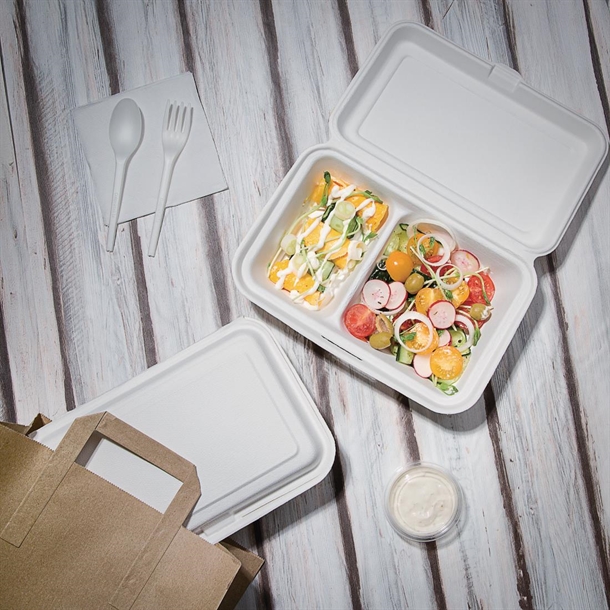 Fiesta Compostable Bagasse Food 2 Compartment Container 253mm (200 Pack)