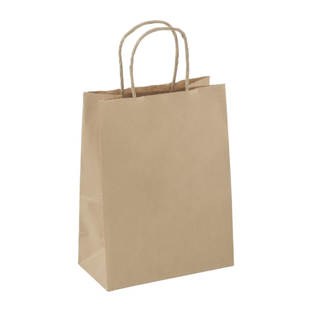 Detpak Junior Paper Twist Handle Carry Bag (250 Pack)