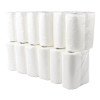 Jantex 2-Ply Paper Towel Roll (24 Pack)