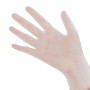 Bastion Progenics - Vinyl Powder Free Gloves - Clear - Pack 200