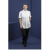 Southside Band Collar Unisex Chef Jacket White
