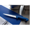 Hygiplas Fillet Knife Blue 160mm