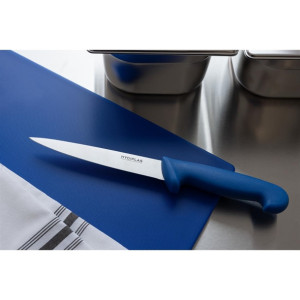 Hygiplas Fillet Knife Blue 160mm