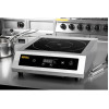 Apuro Heavy Duty Induction Hob 3kW