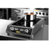 Apuro Heavy Duty Double Induction Hob 7kW