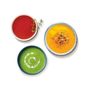 Robot Coupe Stick Blender MP600 Ultra