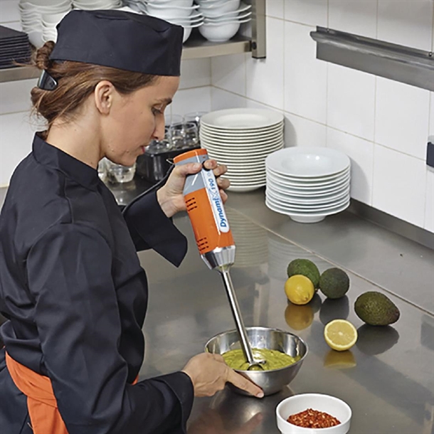 Dynamic Dynamix Stick Blender MX090 - 190mm