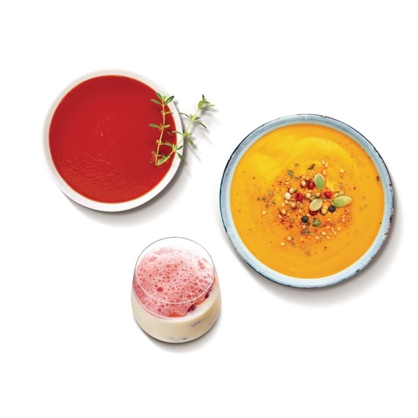 Robot Coupe Mini MP190 V.V Stick Blender