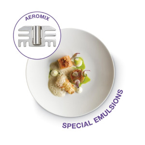 Robot Coupe Mini Combi Power Mixer MINI MP 190 COMBI