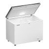 Liebherr Flip Lid Chest Freezers with 4 Baskets - 266Ltr