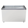 Liebherr Flat Glass Lid Chest Freezer with 5 baskets - 369Ltr