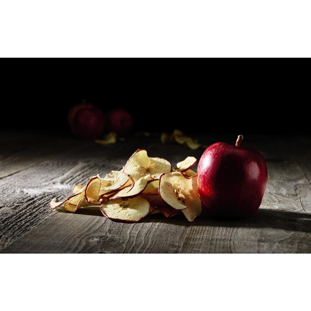 Waring Commercial 10 Tray Dehydrator