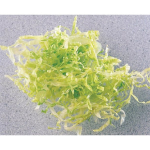 Robot Coupe 2mm Slicer Disc 27555