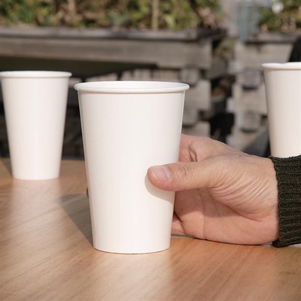 Fiesta Recyclable Cold Cup Single Wall White 455ml(1000 Pack)