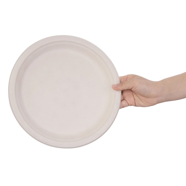 Fiesta Compostable Bagasse Round Plate Natural 260mm (50 Pack)