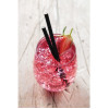 Fiesta Compostable Paper Cocktail Stirrer Straws Black (250 Pack)