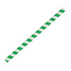Fiesta Compostable Paper Smoothie Straws Green Stripes (250 Pack)