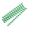 Fiesta Compostable Paper Smoothie Straws Green Stripes (250 Pack)