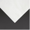 Fiesta Recyclable Lunch Napkin White 330x330mm 2ply 1/8 Fold (2000 Pack)